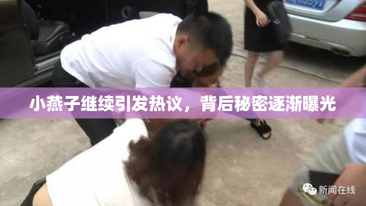小燕子继续引发热议，背后秘密逐渐曝光