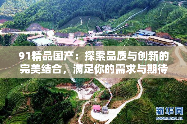 91精品国产：探索品质与创新的完美结合，满足你的需求与期待。