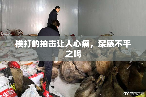 挨打的拍击让人心痛，深感不平之鸣