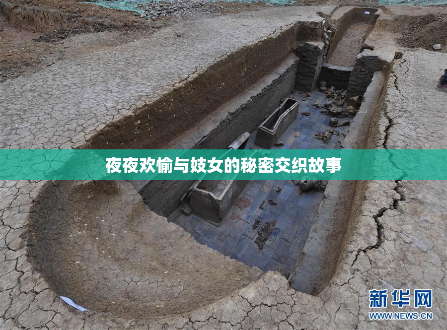 夜夜欢愉与妓女的秘密交织故事