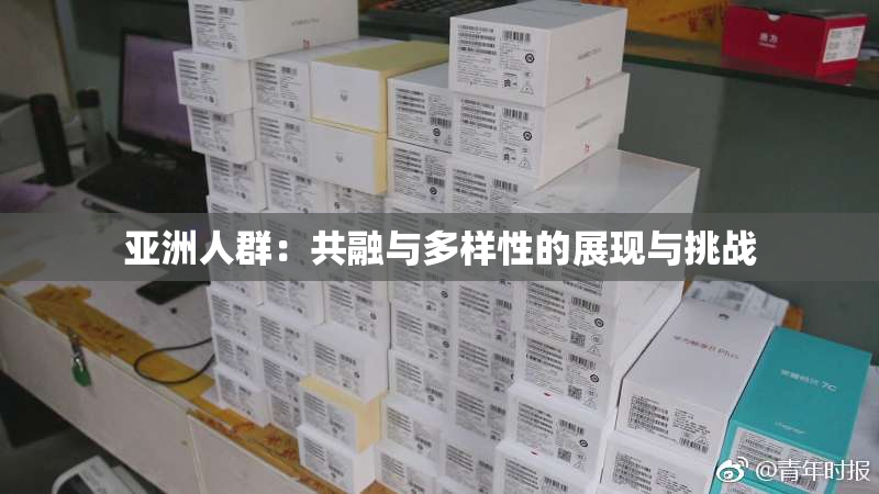 亚洲人群：共融与多样性的展现与挑战