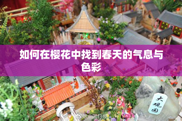 如何在樱花中找到春天的气息与色彩