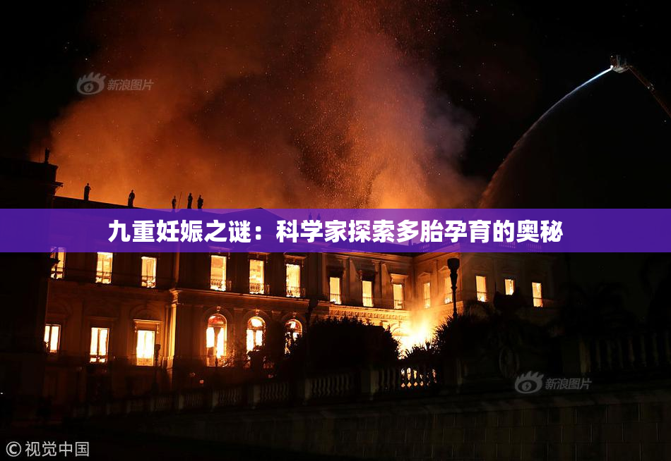 九重妊娠之谜：科学家探索多胎孕育的奥秘