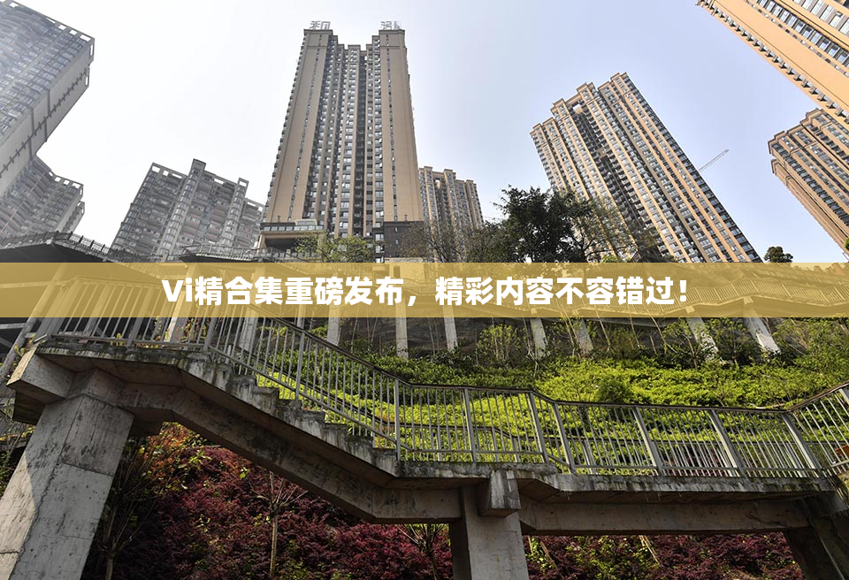Vi精合集重磅发布，精彩内容不容错过！
