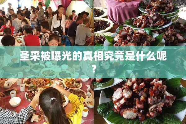 圣采被曝光的真相究竟是什么呢？