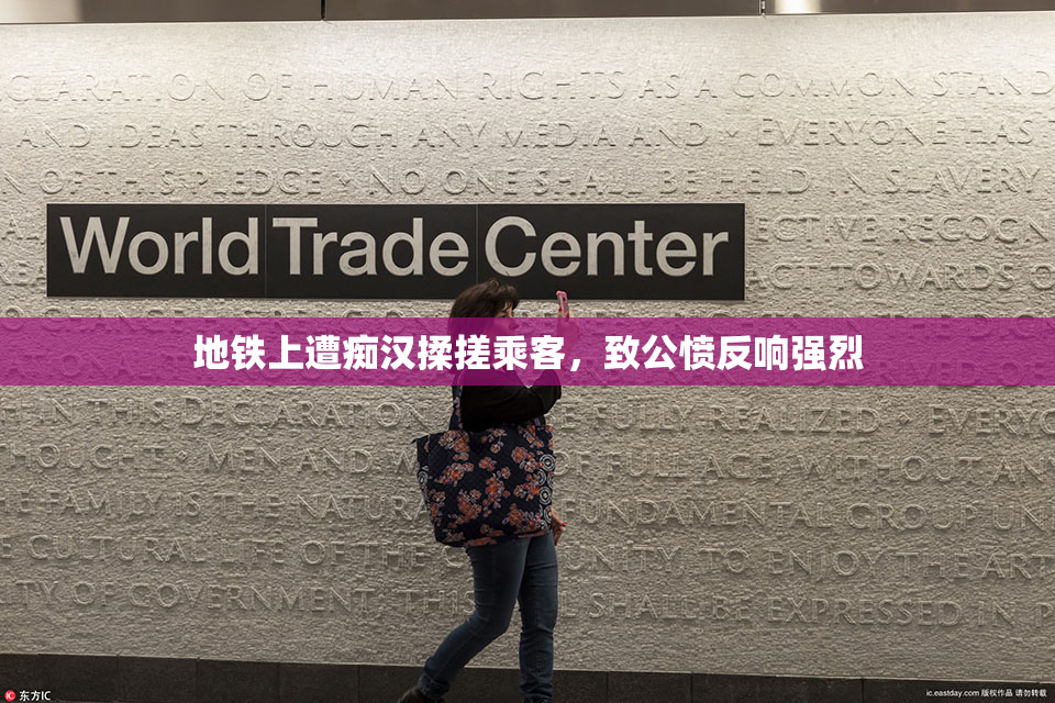 地铁上遭痴汉揉搓乘客，致公愤反响强烈