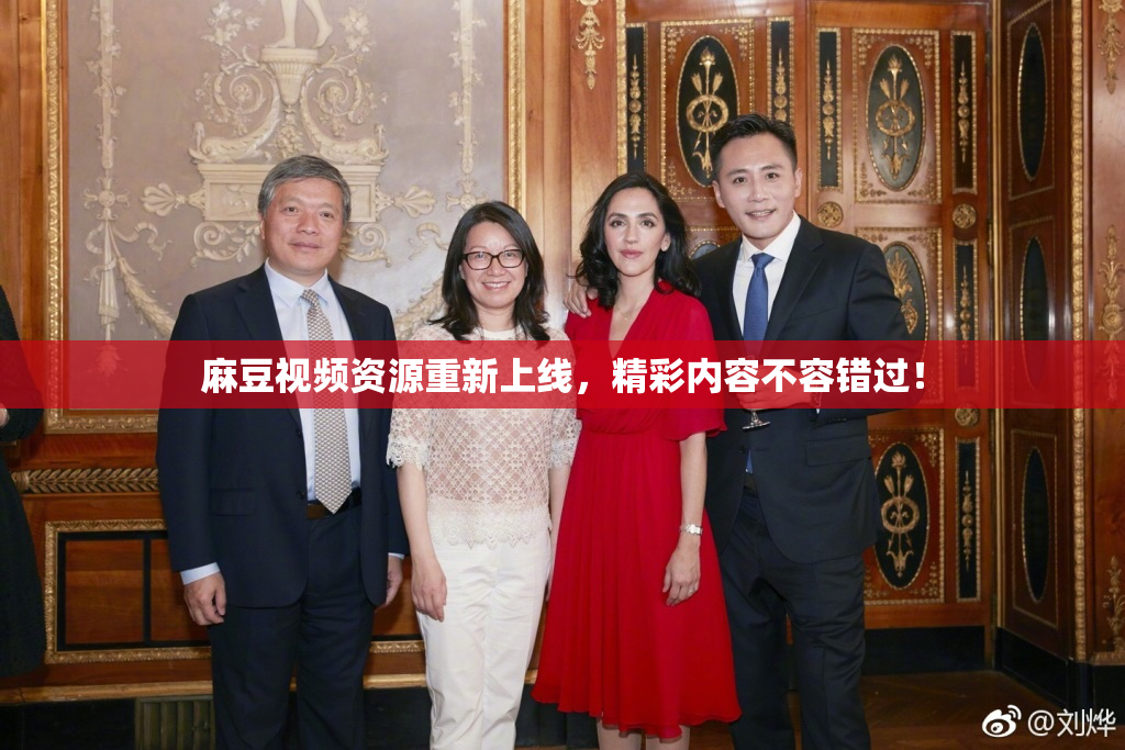 麻豆视频资源重新上线，精彩内容不容错过！