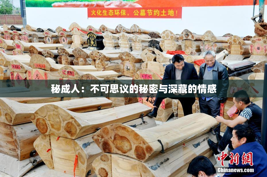 秘成人：不可思议的秘密与深藏的情感