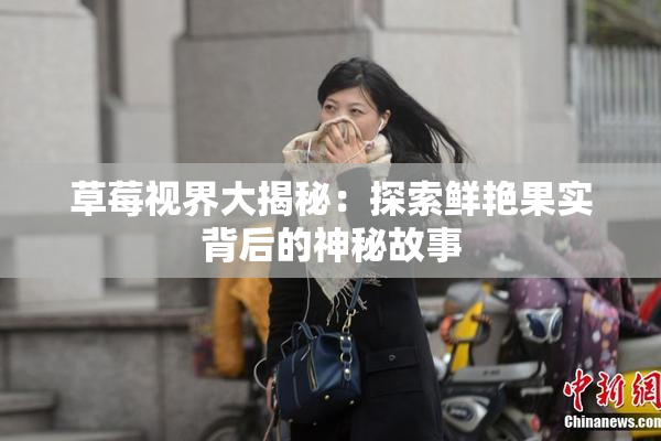 草莓视界大揭秘：探索鲜艳果实背后的神秘故事