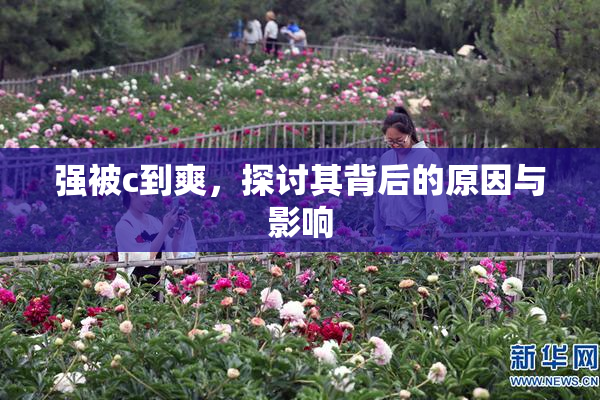 强被c到爽，探讨其背后的原因与影响