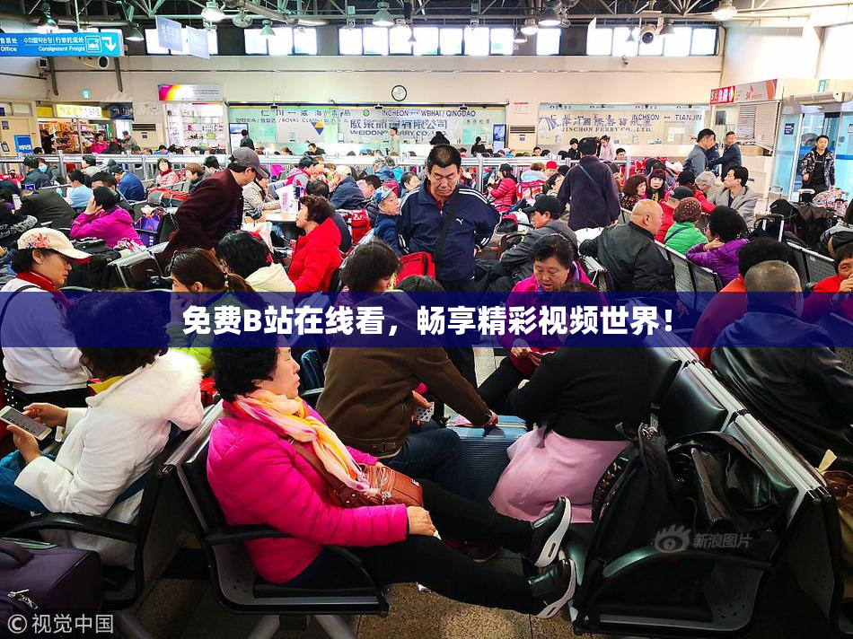 免费B站在线看，畅享精彩视频世界！
