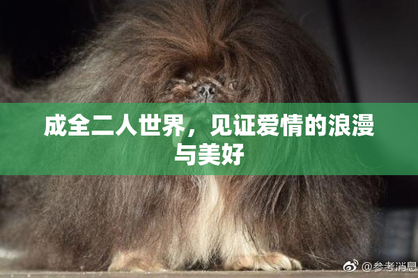 成全二人世界，见证爱情的浪漫与美好