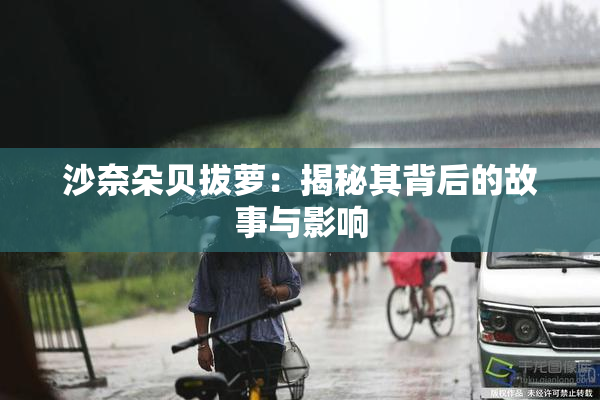 沙奈朵贝拔萝：揭秘其背后的故事与影响