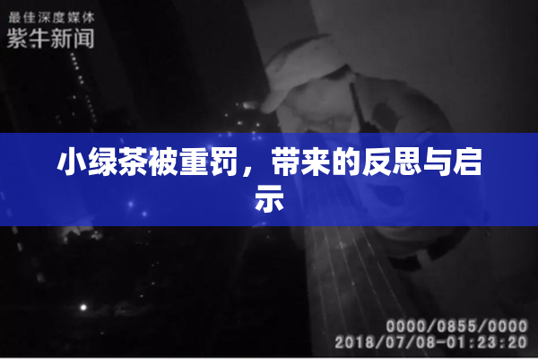 小绿茶被重罚，带来的反思与启示
