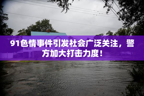 91色情事件引发社会广泛关注，警方加大打击力度！