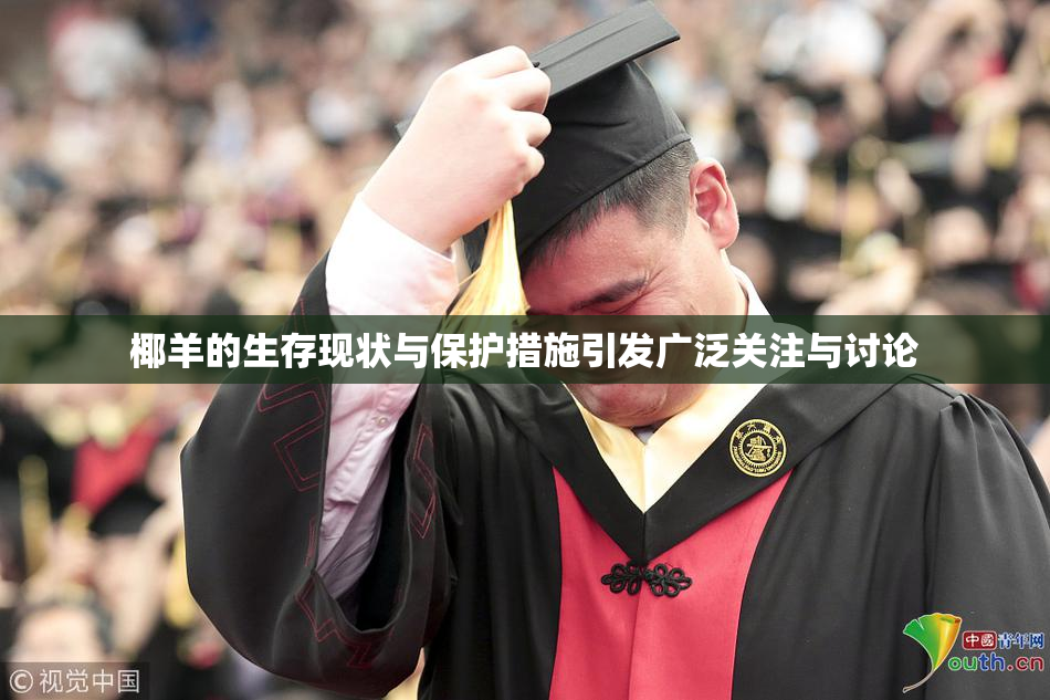 椰羊的生存现状与保护措施引发广泛关注与讨论