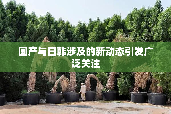 国产与日韩涉及的新动态引发广泛关注