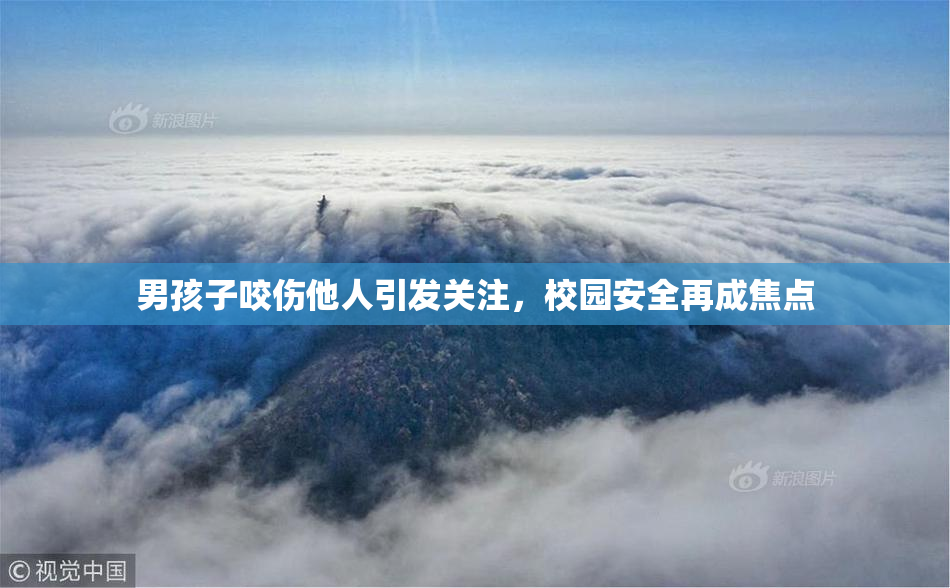 男孩子咬伤他人引发关注，校园安全再成焦点