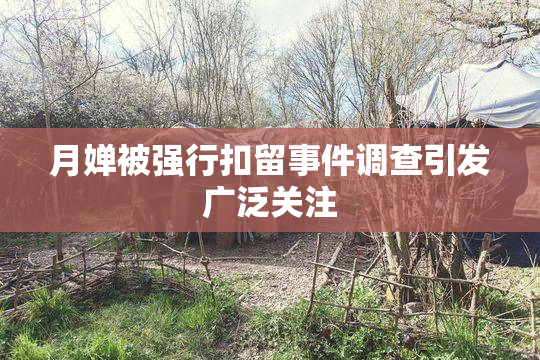 月婵被强行扣留事件调查引发广泛关注