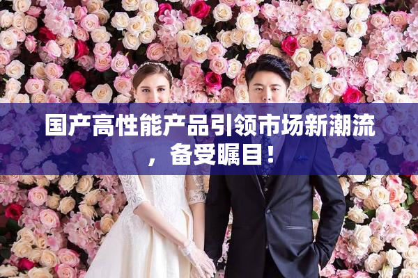 国产高性能产品引领市场新潮流，备受瞩目！