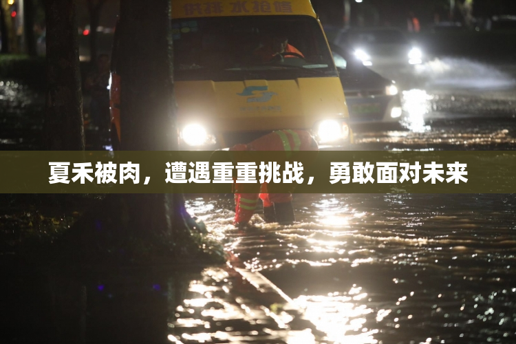 夏禾被肉，遭遇重重挑战，勇敢面对未来