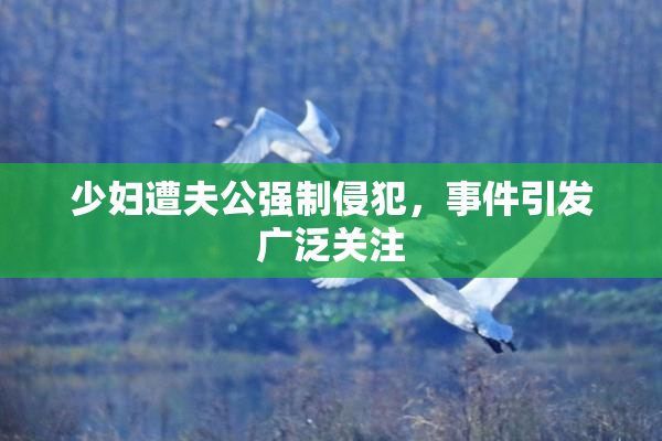 少妇遭夫公强制侵犯，事件引发广泛关注