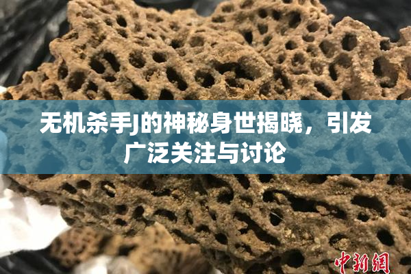 无机杀手J的神秘身世揭晓，引发广泛关注与讨论