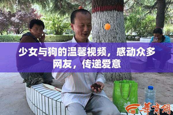 少女与狗的温馨视频，感动众多网友，传递爱意
