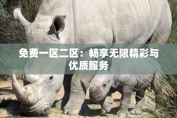 免费一区二区：畅享无限精彩与优质服务