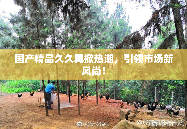 国产精品久久再掀热潮，引领市场新风尚！