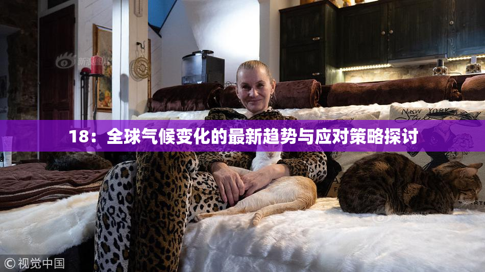 18：全球气候变化的最新趋势与应对策略探讨