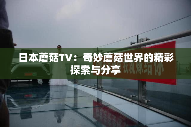 日本蘑菇TV：奇妙蘑菇世界的精彩探索与分享
