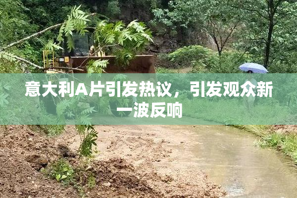 意大利A片引发热议，引发观众新一波反响