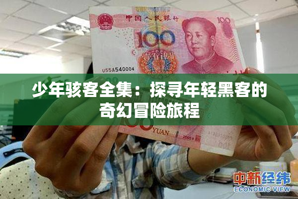 少年骇客全集：探寻年轻黑客的奇幻冒险旅程