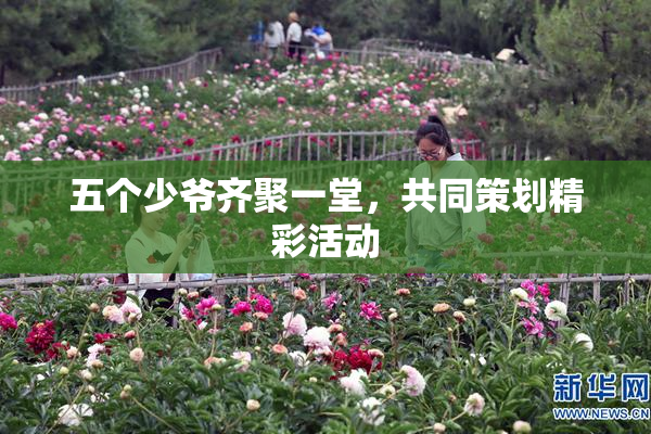 五个少爷齐聚一堂，共同策划精彩活动