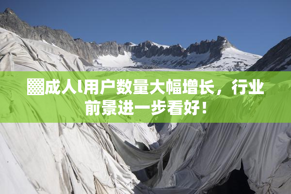 ▓成人l用户数量大幅增长，行业前景进一步看好！