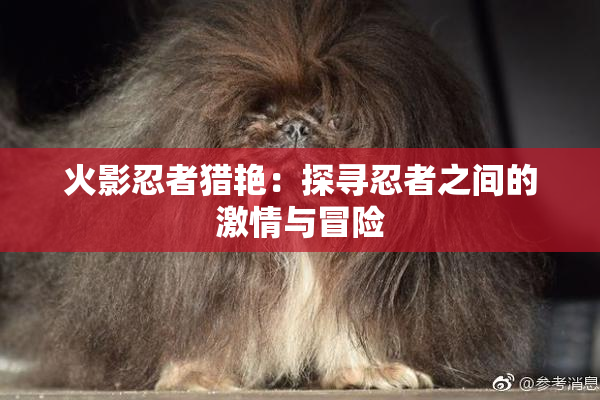 火影忍者猎艳：探寻忍者之间的激情与冒险