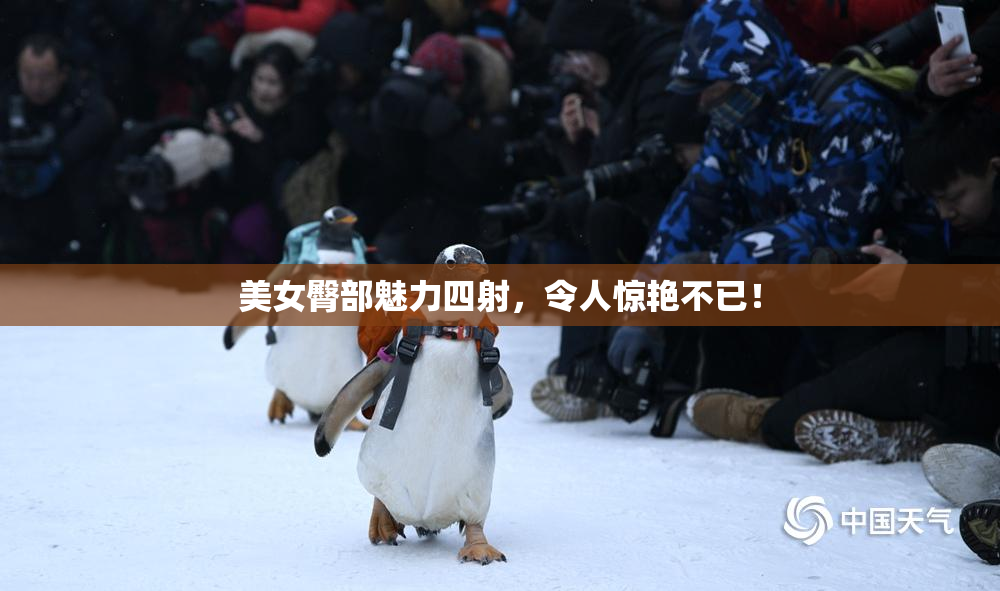 美女臀部魅力四射，令人惊艳不已！