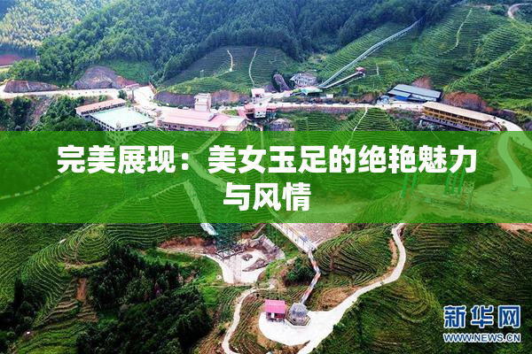 完美展现：美女玉足的绝艳魅力与风情
