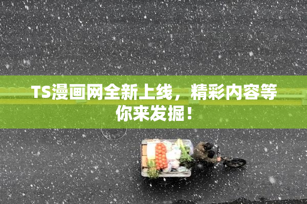 TS漫画网全新上线，精彩内容等你来发掘！