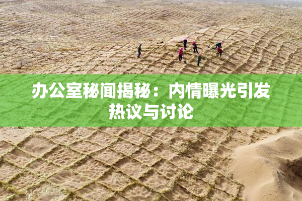 办公室秘闻揭秘：内情曝光引发热议与讨论