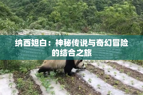 纳西妲白：神秘传说与奇幻冒险的结合之旅