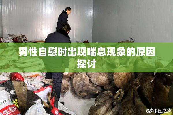 男性自慰时出现喘息现象的原因探讨
