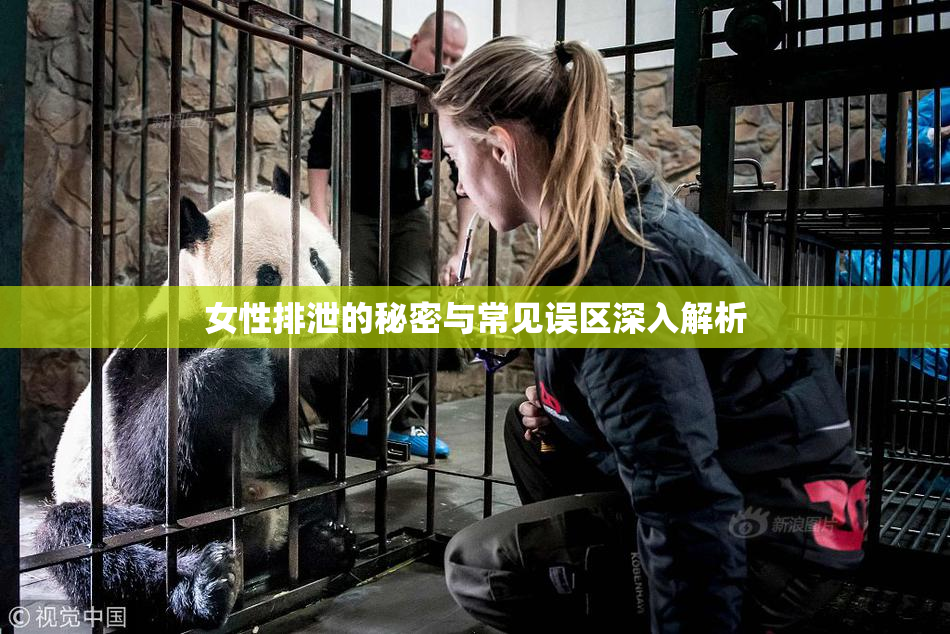 女性排泄的秘密与常见误区深入解析