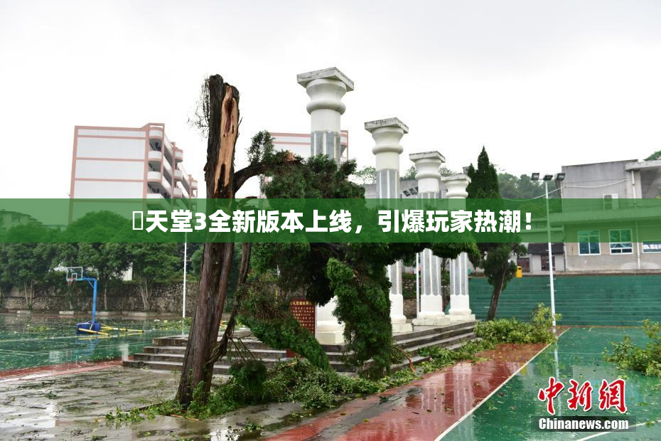 妺天堂3全新版本上线，引爆玩家热潮！