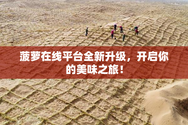 菠萝在线平台全新升级，开启你的美味之旅！