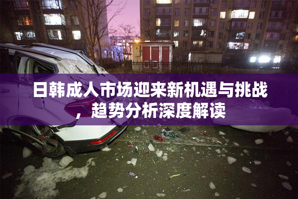 日韩成人市场迎来新机遇与挑战，趋势分析深度解读