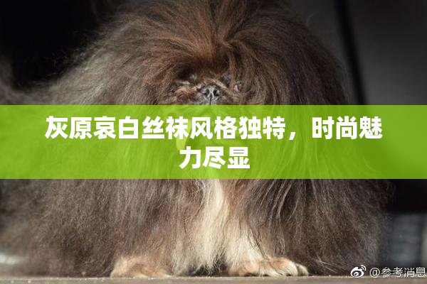 灰原哀白丝袜风格独特，时尚魅力尽显