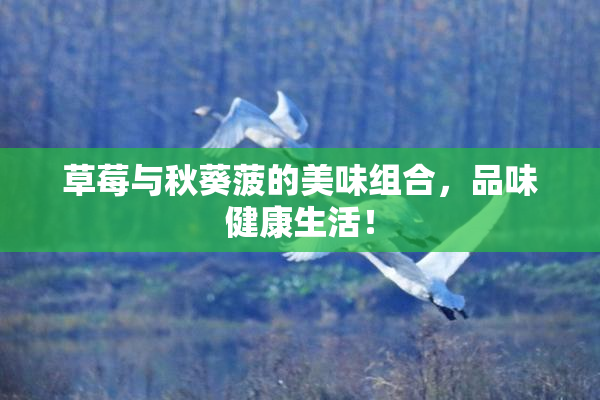 草莓与秋葵菠的美味组合，品味健康生活！
