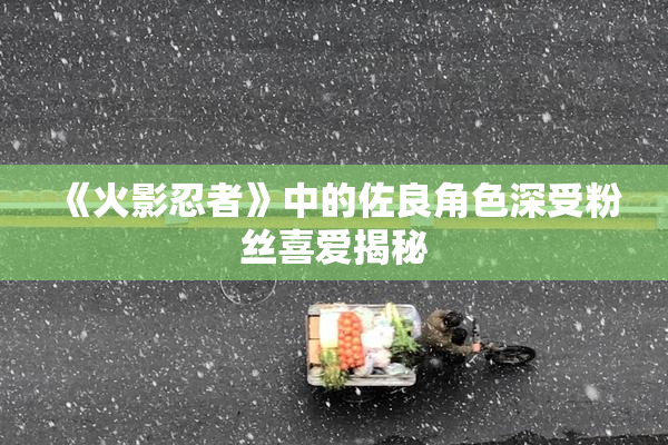 《火影忍者》中的佐良角色深受粉丝喜爱揭秘